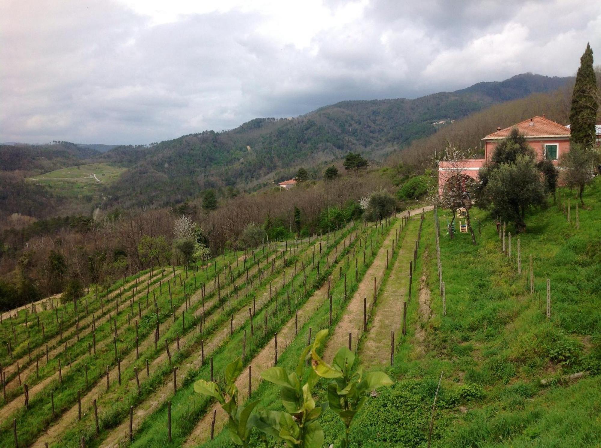Agriturismo Cerrolungo Séjour à la ferme