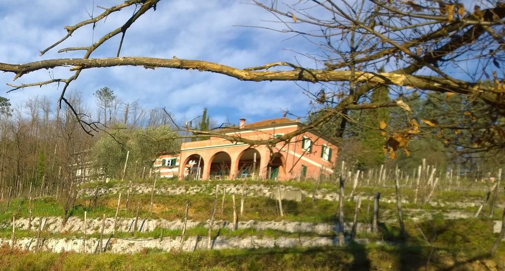 Séjour à la ferme Agriturismo Cerrolungo La Spezia